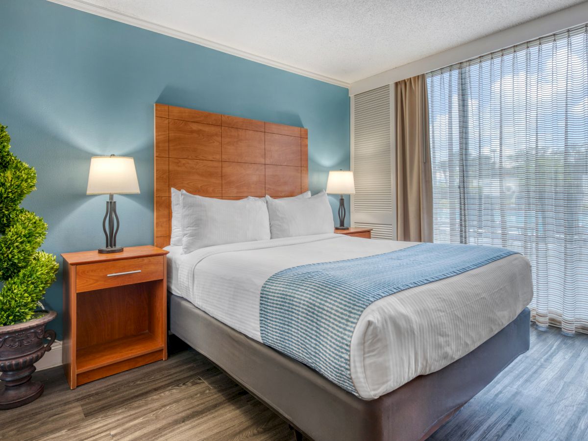 The image shows a hotel room with a bed, lamps, a plant, and large windows with curtains, creating a cozy and inviting atmosphere.