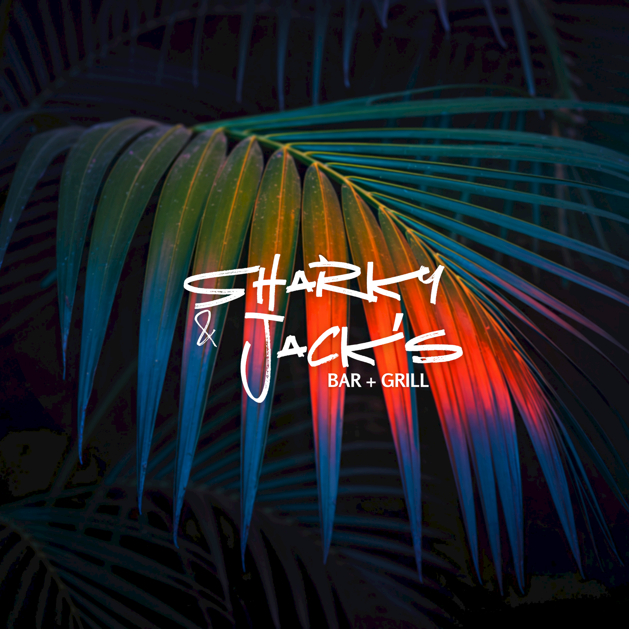 A multicolored palm leaf with a glowing effect is overlaid with the text "Sharky & Jack's Bar + Grill" in stylized writing.
